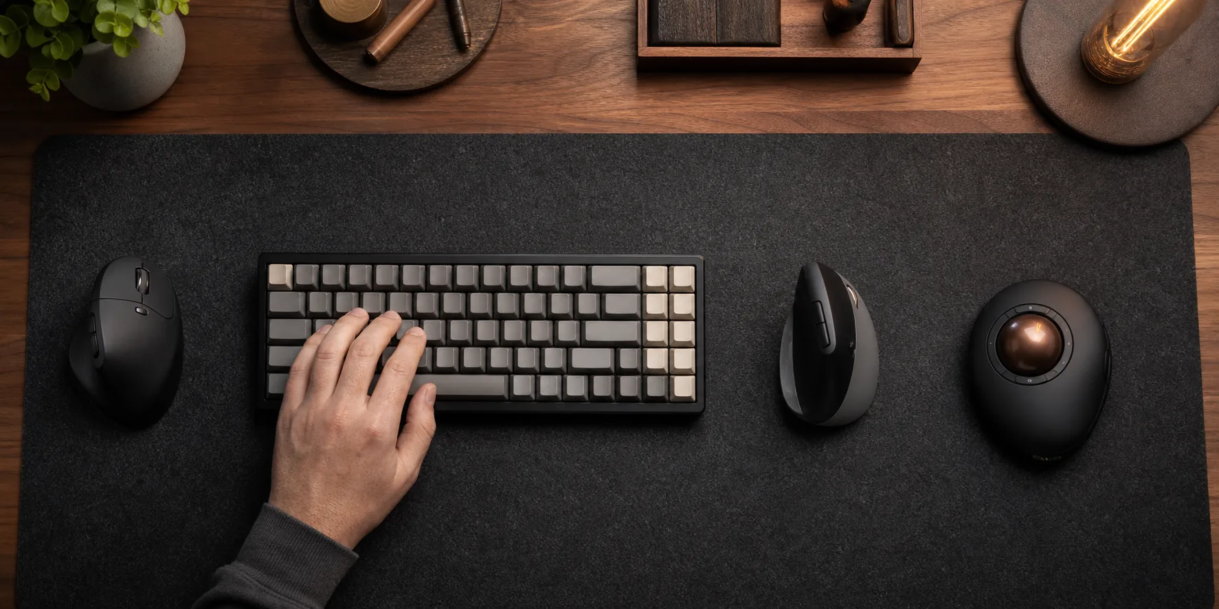 Keyboards & Mice equipment in the Surefire Computers editorial workspace